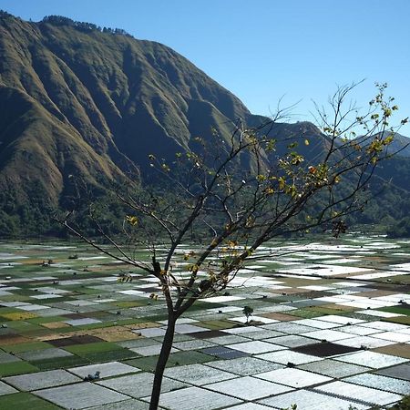Rinjani Green Park Syariah Hotel Sembalunlawang Eksteriør bilde