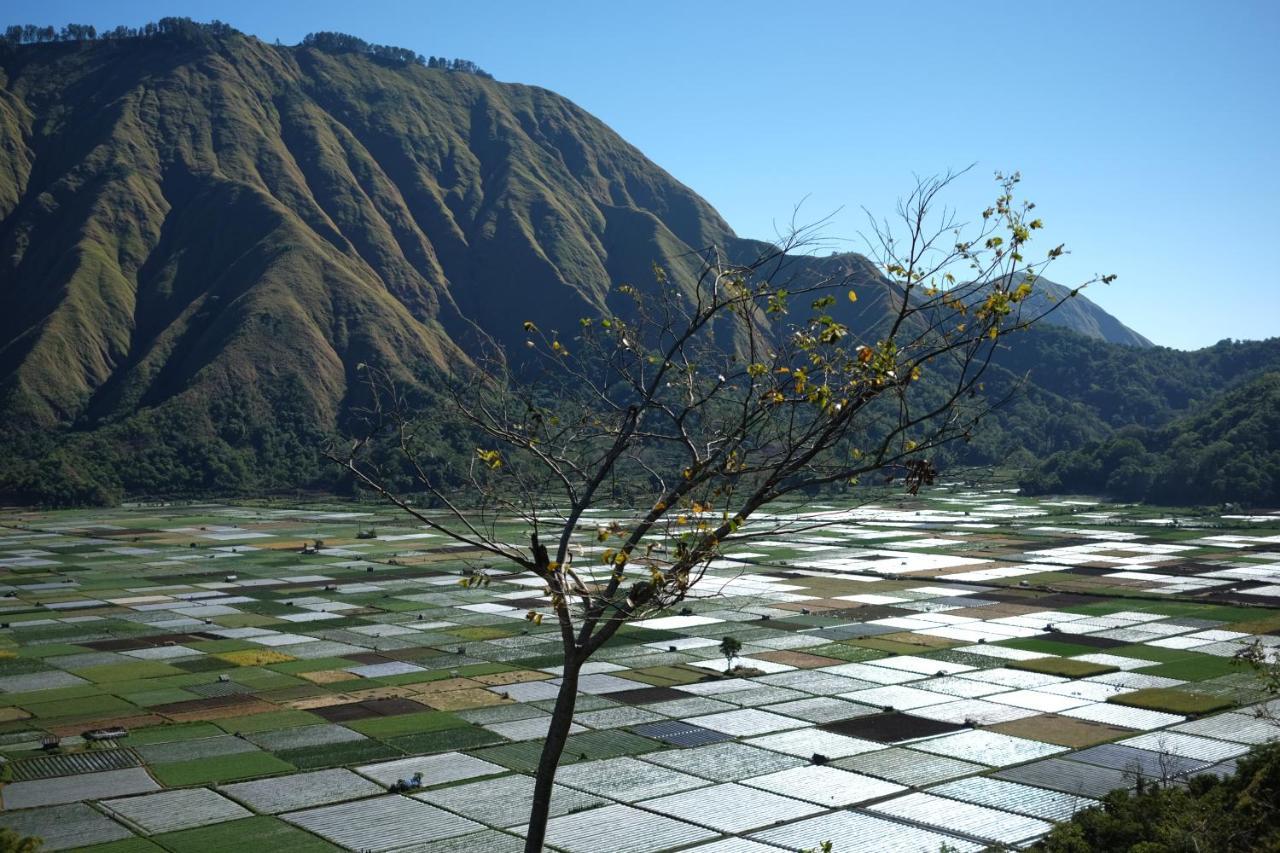 Rinjani Green Park Syariah Hotel Sembalunlawang Eksteriør bilde